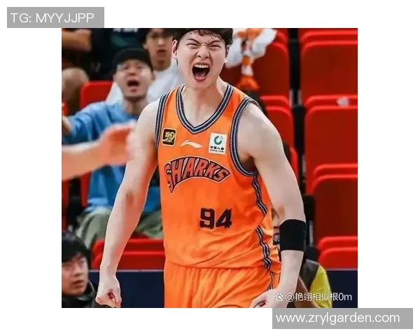 辽宁队与上海队2016至2017赛季精彩对决回顾与分析