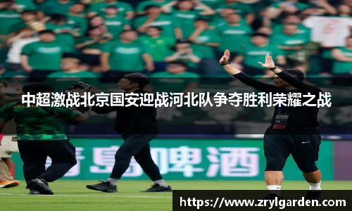 智博19